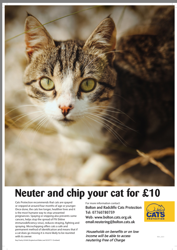 How Much Does It Cost To Get A Cat Neutered In California at Sarah
